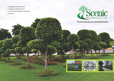 Brochure Design in Gurgaon